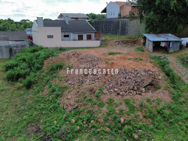 Terreno para Venda em Flores da Cunha - 3