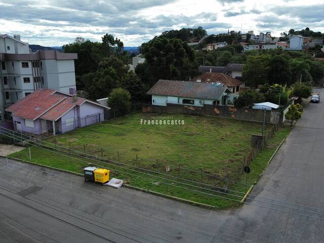 Área para Venda em Flores da Cunha - 5