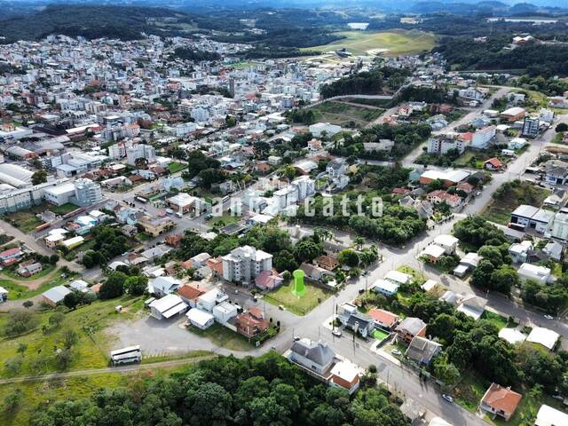 #0047 - Área para Venda em Flores da Cunha - RS - 3