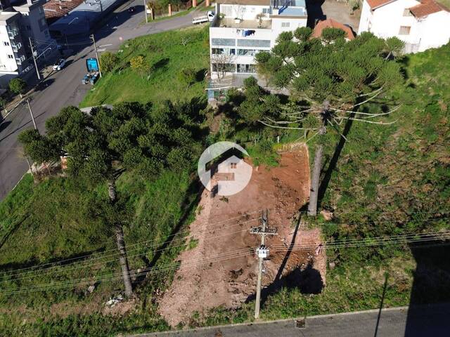 Área para Venda em Flores da Cunha - 4