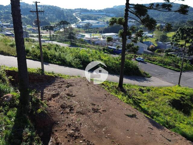 Área para Venda em Flores da Cunha - 5