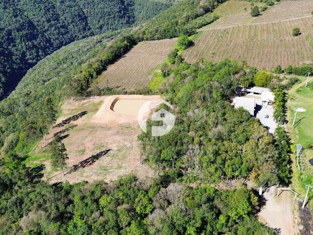 Chácara para Venda em Flores da Cunha - 2