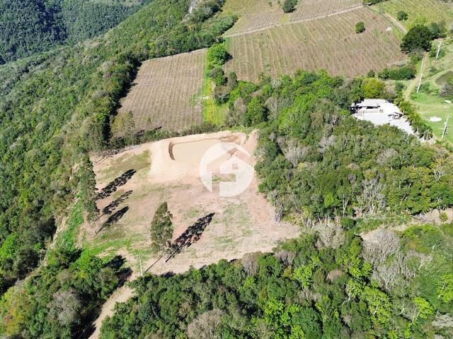 Chácara para Venda em Flores da Cunha - 3