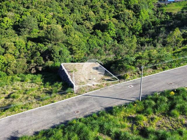 Terreno para Venda em Flores da Cunha - 4