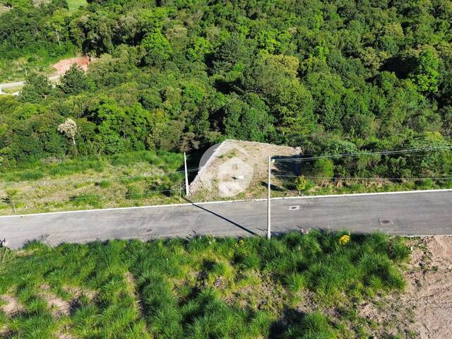 Terreno para Venda em Flores da Cunha - 5