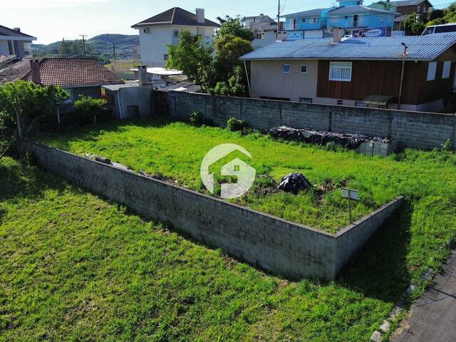 Área para Venda em Flores da Cunha - 5