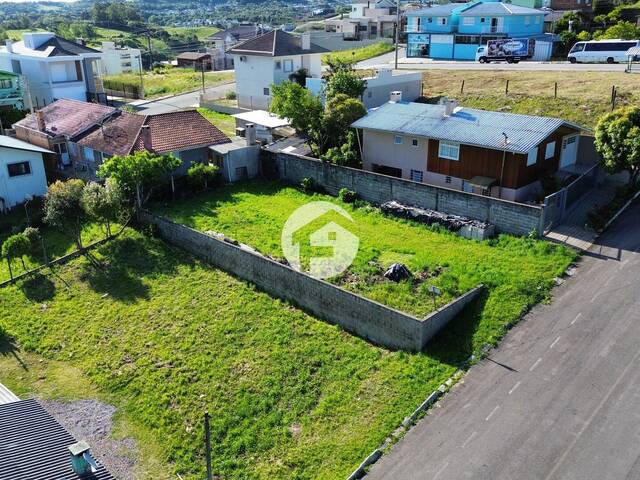 #0064 - Área para Venda em Flores da Cunha - RS - 3