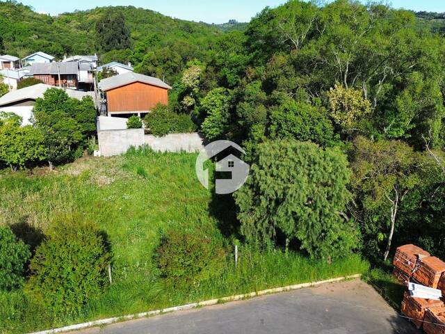 #0065 - Área para Venda em Flores da Cunha - RS - 2