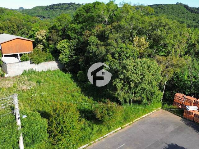 #0065 - Área para Venda em Flores da Cunha - RS - 1