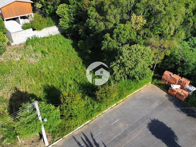 #0065 - Área para Venda em Flores da Cunha - RS - 3