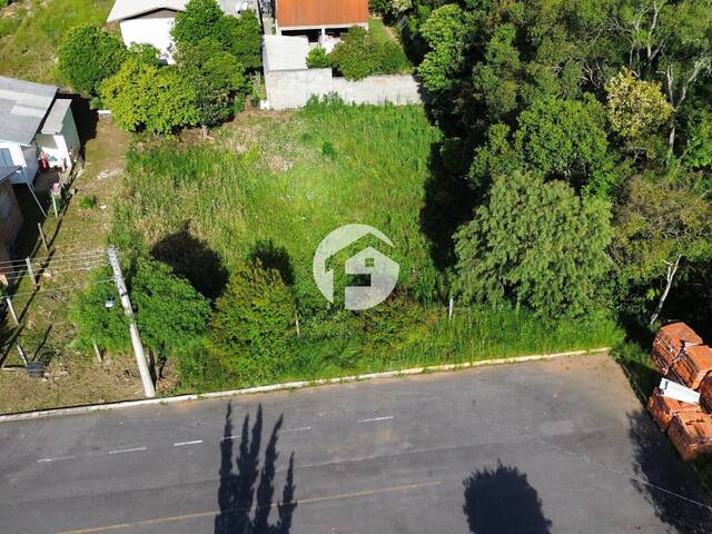 Área para Venda em Flores da Cunha - 4