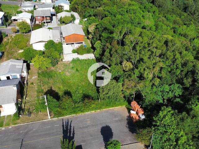 Área para Venda em Flores da Cunha - 5