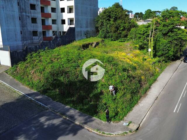 Venda em  - Flores da Cunha