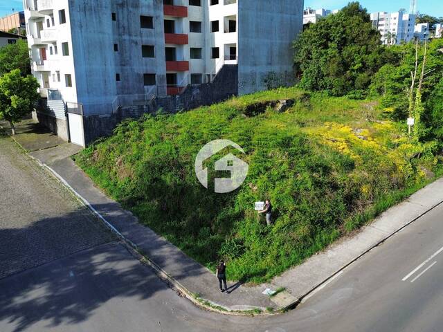 Área para Venda em Flores da Cunha - 2