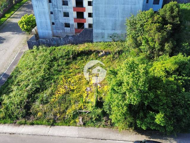 Área para Venda em Flores da Cunha - 3