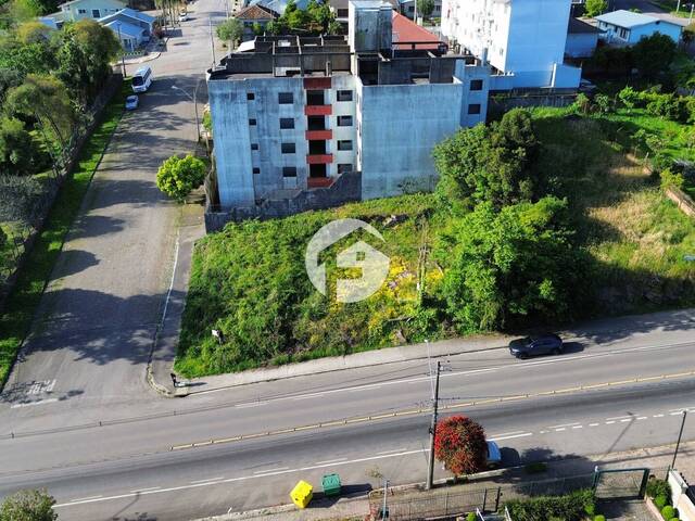 Área para Venda em Flores da Cunha - 5