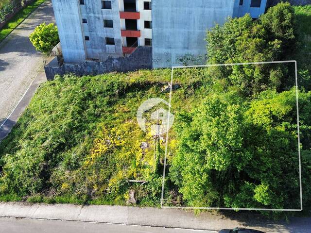 Venda em COLINA DE FLORES - Flores da Cunha