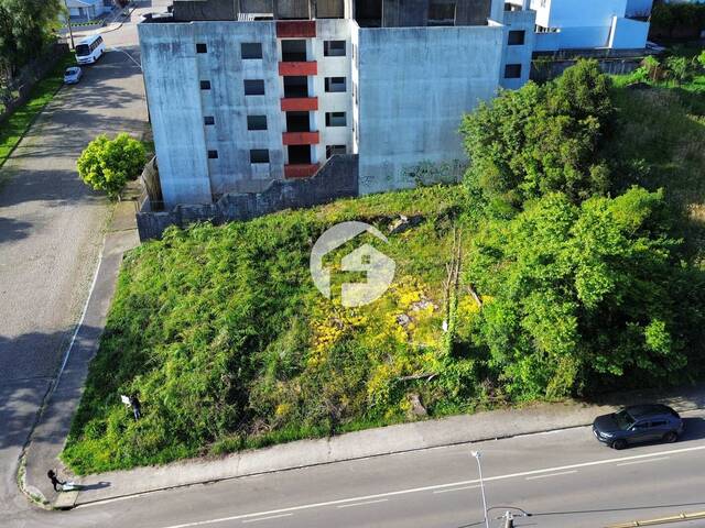 Área para Venda em Flores da Cunha - 2