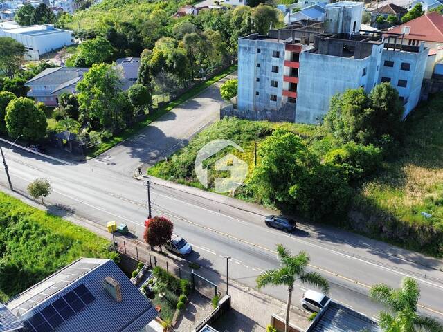 Área para Venda em Flores da Cunha - 4
