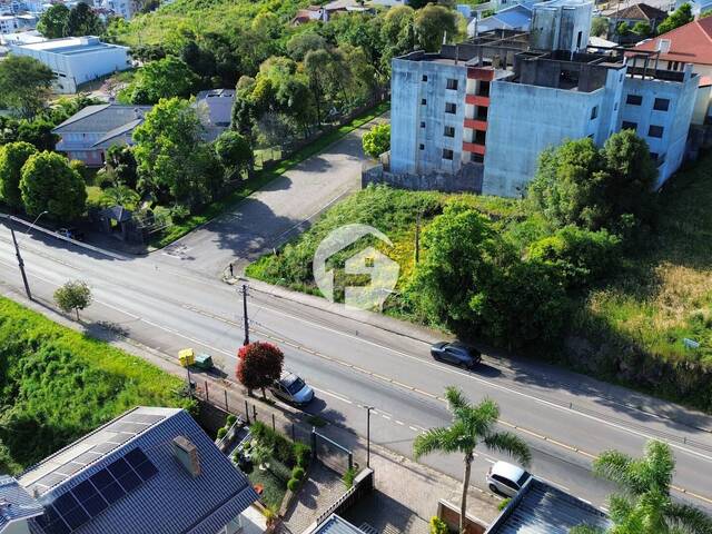 Área para Venda em Flores da Cunha - 5