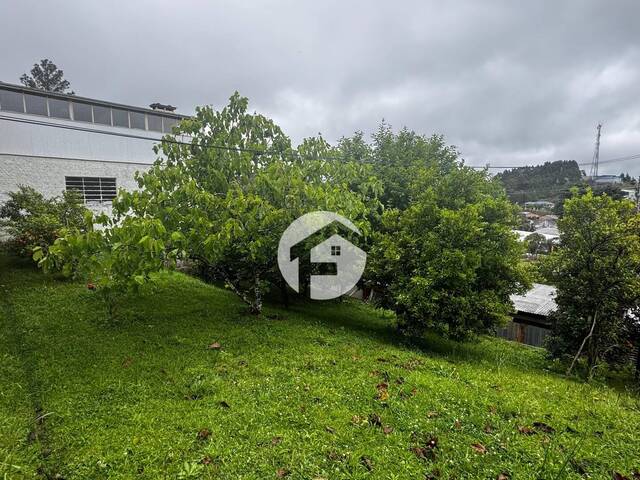 Casa para Venda em Flores da Cunha - 5