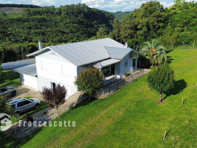 Chácara para Venda em Flores da Cunha - 5