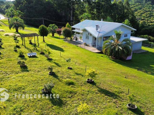 #0071 - Chácara para Venda em Flores da Cunha - RS - 3