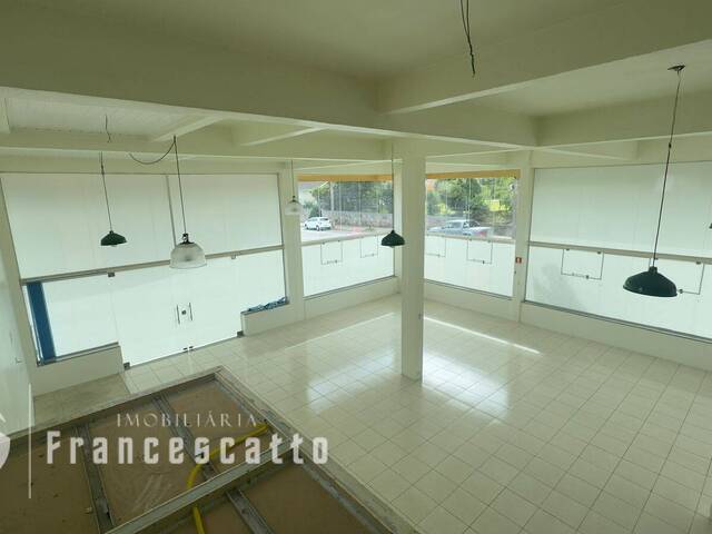 Sala para Locação em Flores da Cunha - 5