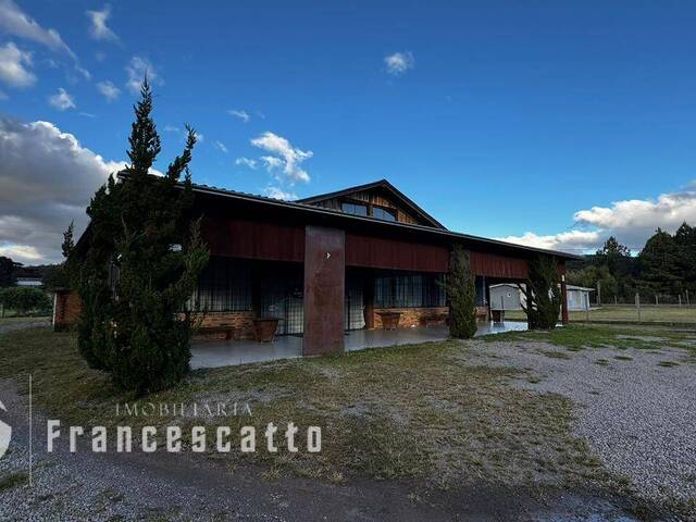 Sala para Locação em Flores da Cunha - 3