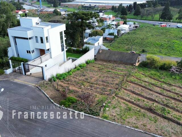 #0091 - Área para Venda em Flores da Cunha - RS - 3